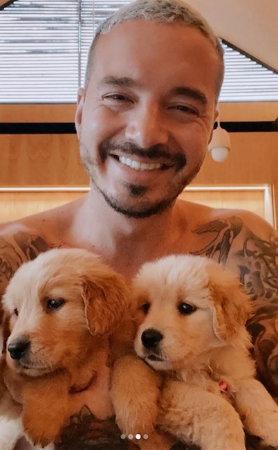 J Balvin, dog, National Puppy Day 2020